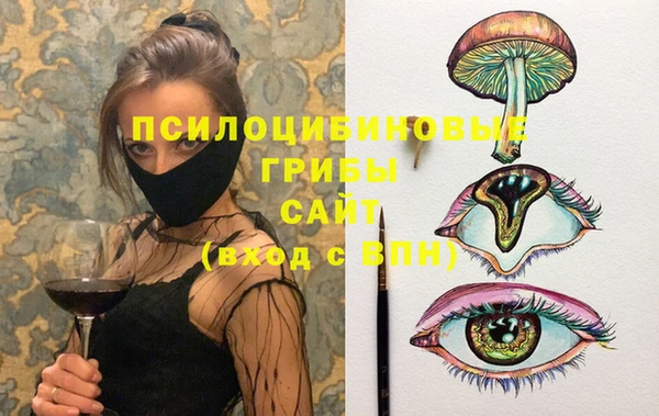 МДПВ Алзамай
